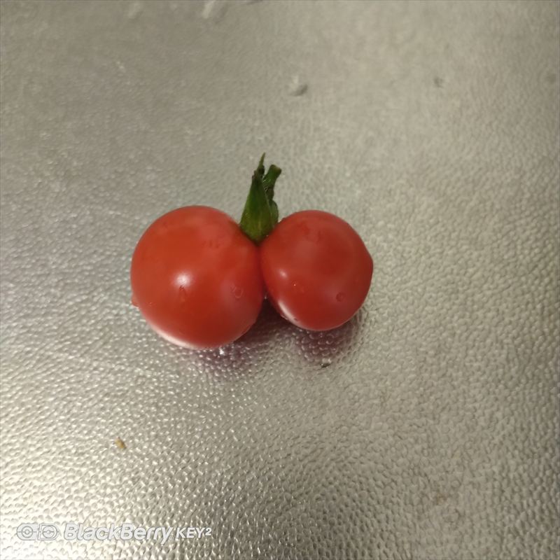 026